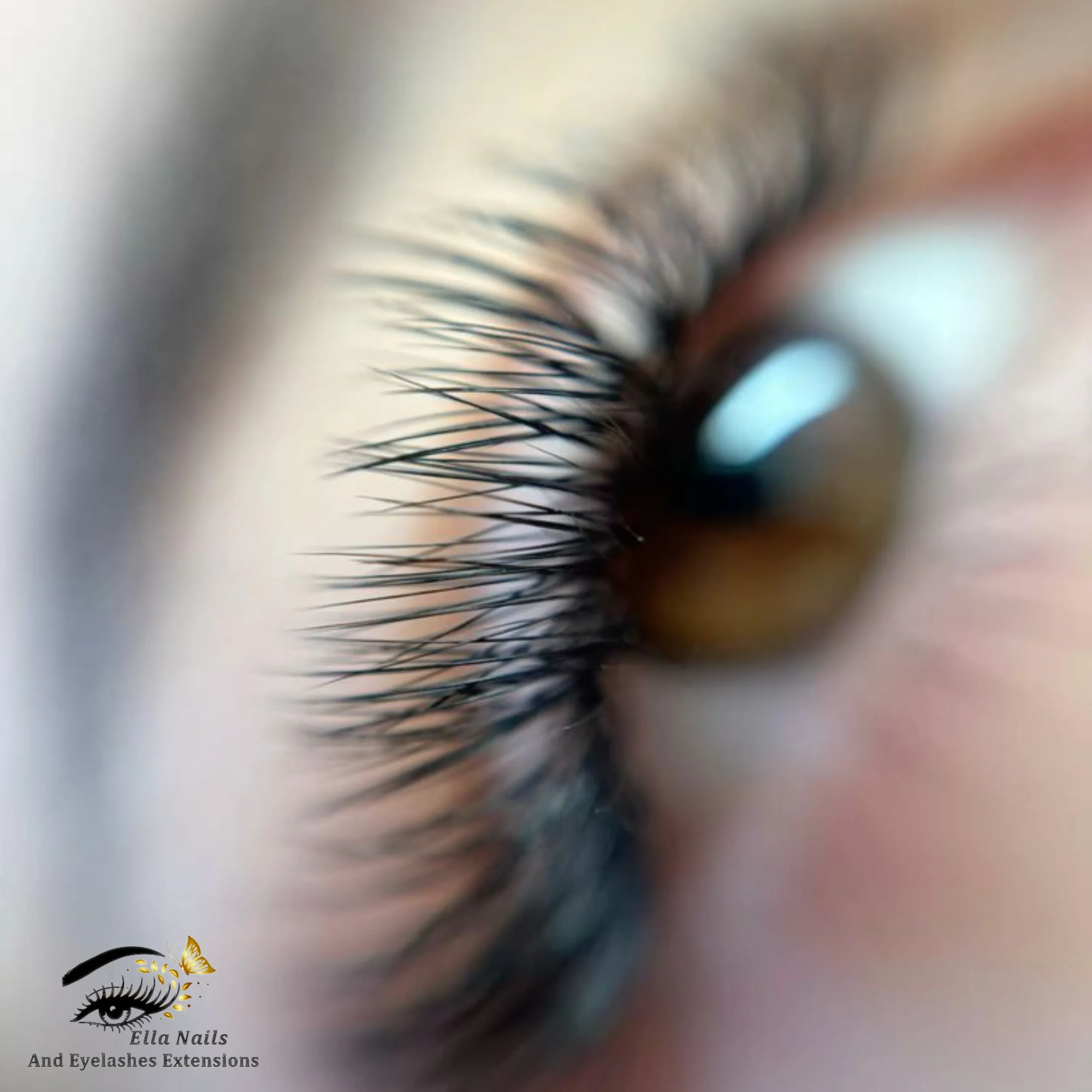 Eyelash Extension